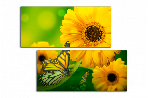 Модульная картина Бабочка с желтым цветком
