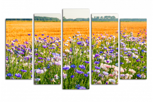 Модульная картина Цветы в поле